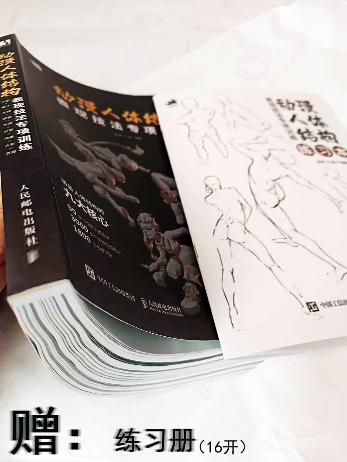 动漫人体结构表现技法专项训练 (Anatomy Book)