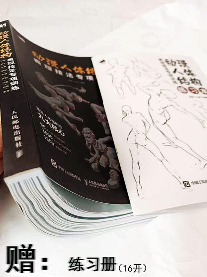 动漫人体结构表现技法专项训练 (Anatomy Book)