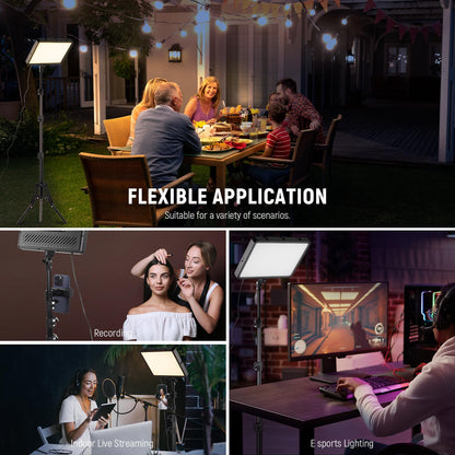 Light Panel Tripod Stands (set of 2)